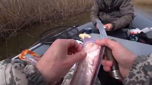 Рыбалка весной на спиннинг