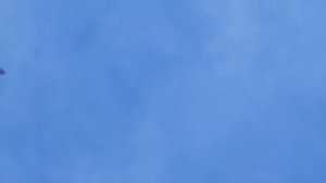 17.07.2025 г Подъем Голубей!!!