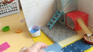 обустройство нового домика для бумажных собак