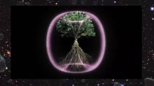 Мироздание - это один большой тороид.