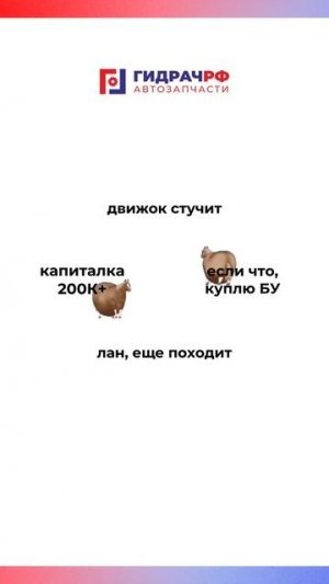 КРУГ ПОЧЕТА автовладельцев 😁