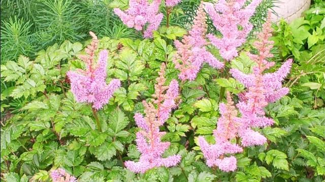 с добрым утром! смотреть онлайн