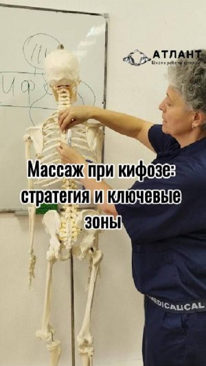 Массаж при кифозе: стратегия и ключевые зоны