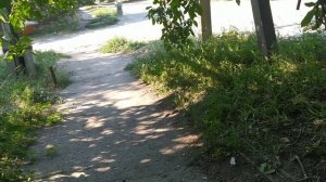 VID_20250717_082215.mp4 Пошёл в садик