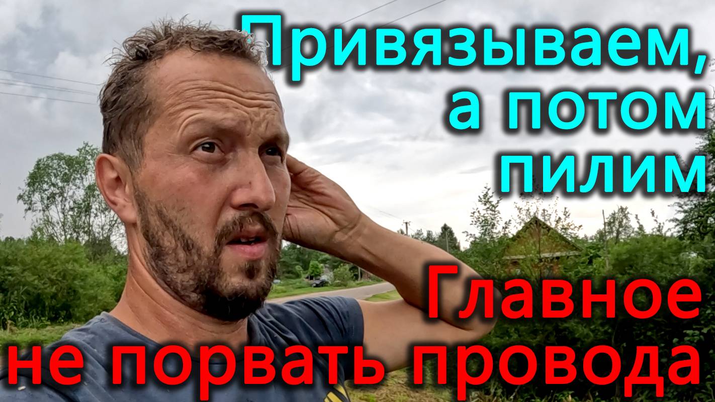 Новая метода валки деревьев, чтобы они не упали на провода. Чтобы поставить забор надо спилить лес. смотреть онлайн