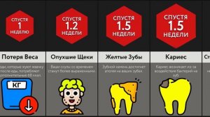 Если Вечно Жевать Жвачку