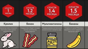 Время Жизни, Если Есть Только ___