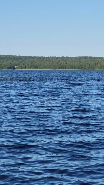 Райская жизнь !