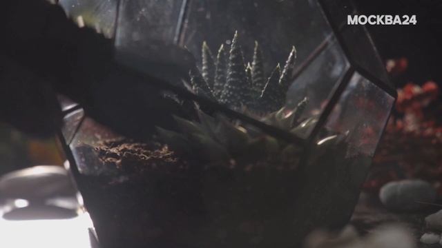 мастер-классы от Flolefor