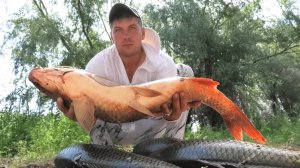 Дикие чушки на утренней зорьке! Рыбалка мечты!