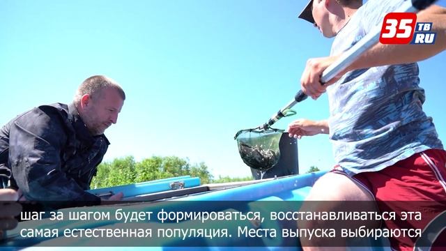 Георгий Филимонов: активизируем работу по сохранению сухонской стерляди на Вологодчине смотреть онлайн