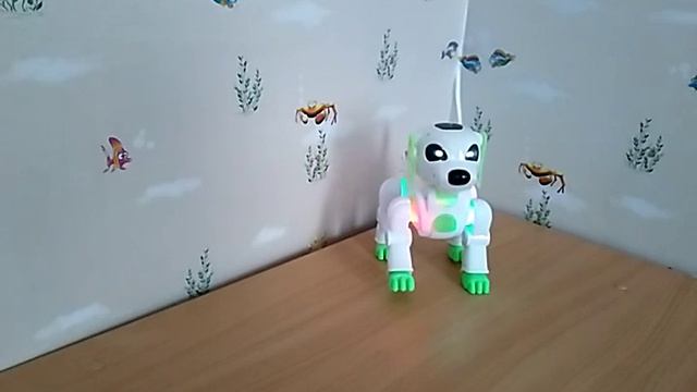 Пёс робот кот 1 серия «jimmvista»✏️👍👀 👂