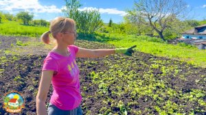 🟢ДЕРЕВЕНСКИЙ ОГОРОД в мае. Уничтожаем наш сад. Снова по больницам.