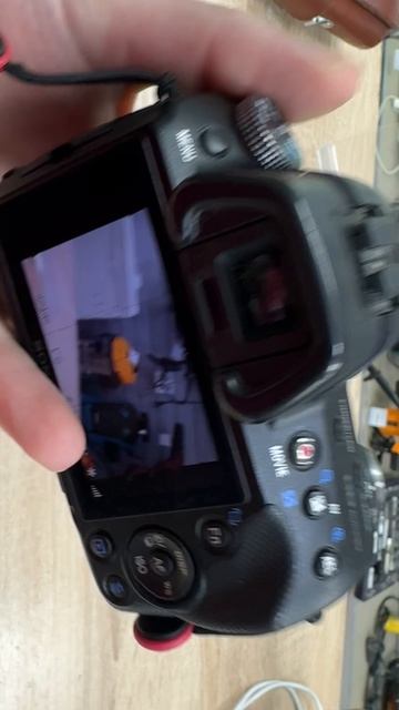 IMG_3564 смотреть онлайн