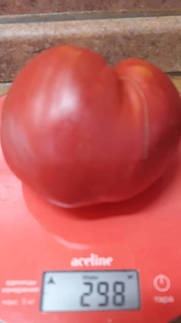 БЫЧЬЕ СЕРДЦЕ РОЗОВОЕ МАЙКЛА смотреть онлайн