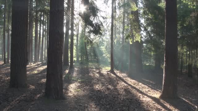 38 СГШ 2025 зарисовка1 на слет