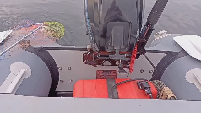 17.07.2025 САМАРА-ВОЛГА крупный окунь.