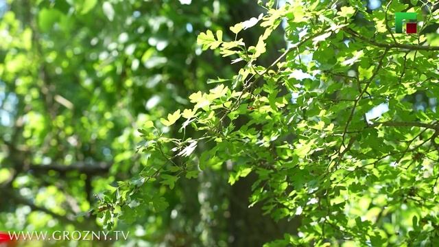 Охота на Кавказе Эфир от 14.07.2025