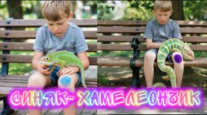 Синяк-Хамелеончик . Детская песня