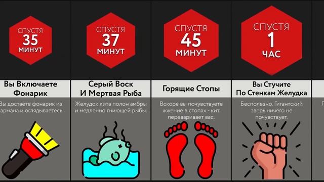 Если Вас Съест Кит смотреть онлайн