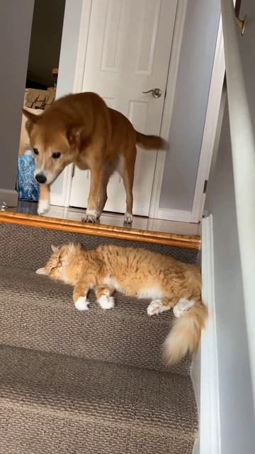 Проход закрыт смотреть онлайн