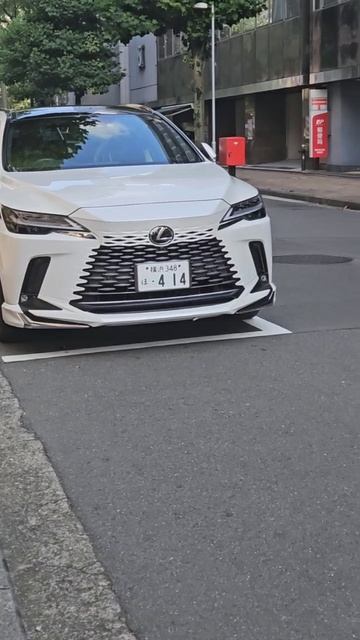 Черное $ Белое....Два дорогих веселых гуся.... смотреть онлайн