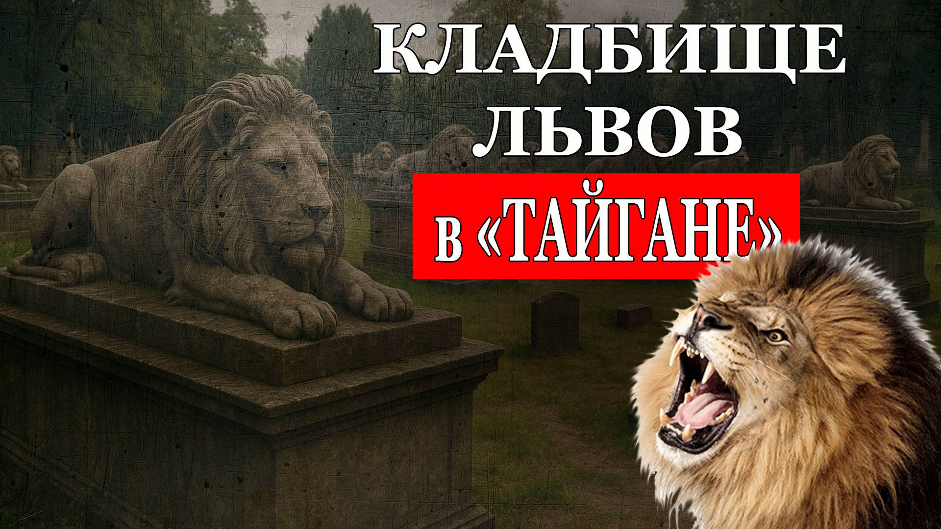 Кладбище львов в "Парке львов "Тайган" по вине Олега Зубкова! смотреть онлайн