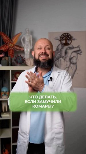 Что делать, если замучили комары?