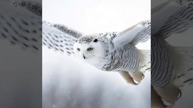 Это интересно-33