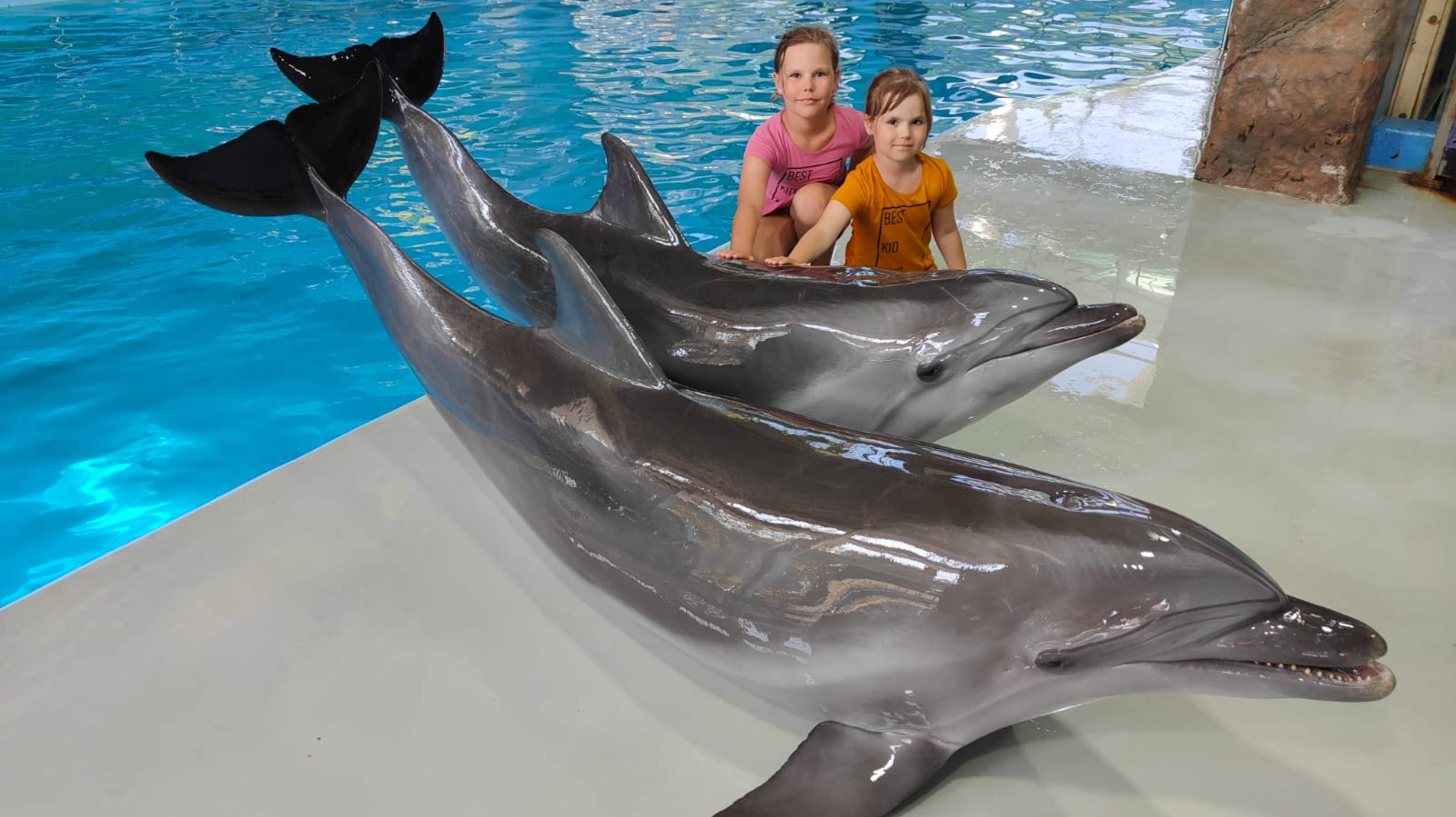 Лазаревский дельфинарий 11 июля 2025 г.