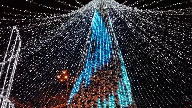 Christmas tree, ЛУЧШАЯ новогодняя ёлка, найдорожча ялинка України 2019 смотреть онлайн