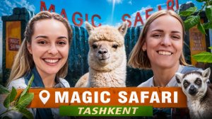 Ташкентский Magic Safari: Первый сафари-парк в Узбекистане!