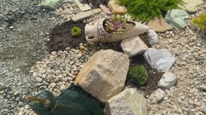 Создала каменистую клумбу в неожиданном месте!