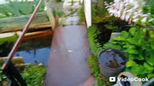 Новая задача