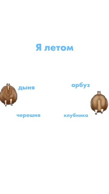 Пикеры «Ленты» уже похлопали арбузы и нашли для вас самый спелый 🍉😍 смотреть онлайн