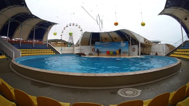 Дельфинарий Коктебель 2019г. смотреть онлайн