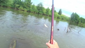 ОГРОМНЫЕ КАРПЫ ОКРУЖИЛИ МОЮ ЛОДКУ! КАРП НА БОКОВОЙ КИВОК И УДОЧКУ SAGITTA.