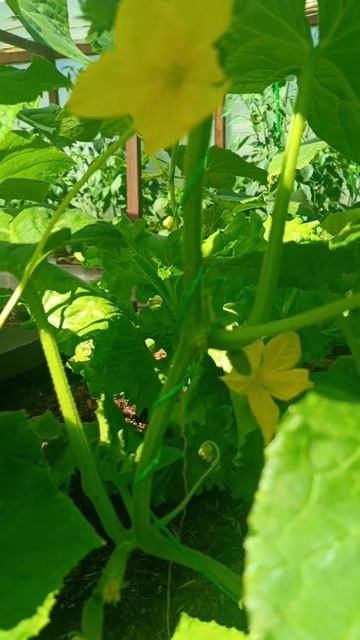 Самое лучшее время года ❤