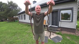 БЕЛАРУССКУЮ ЛЕСНУЮ ДЕРЕВНЮ, ЗАПОЛОНИЛИ ГАДЮКИ! №352