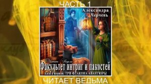 Александра Черчень "Факультет интриг и пакостей" (книга 1) "Три флакона авантюры" (часть 1)