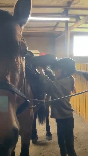 Уроки заботы о лошадях 2 смотреть онлайн