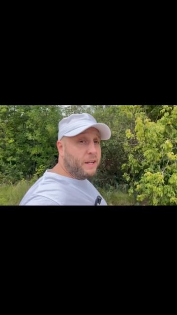 #политика смотреть онлайн