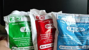 БИО ПРЕПАРАТЫ. ПОЛЬЗА или БЕСПОЛЕЗНАЯ ТРАТА  ДЕНЕГ? #биоудобрения  #саженцы #биопрепараты #огород