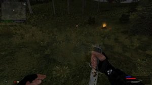 аномальный кабан