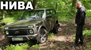 Любовь или ненависть? Рассуждения о том, какой Нива стала и какой бы её хотелось видеть