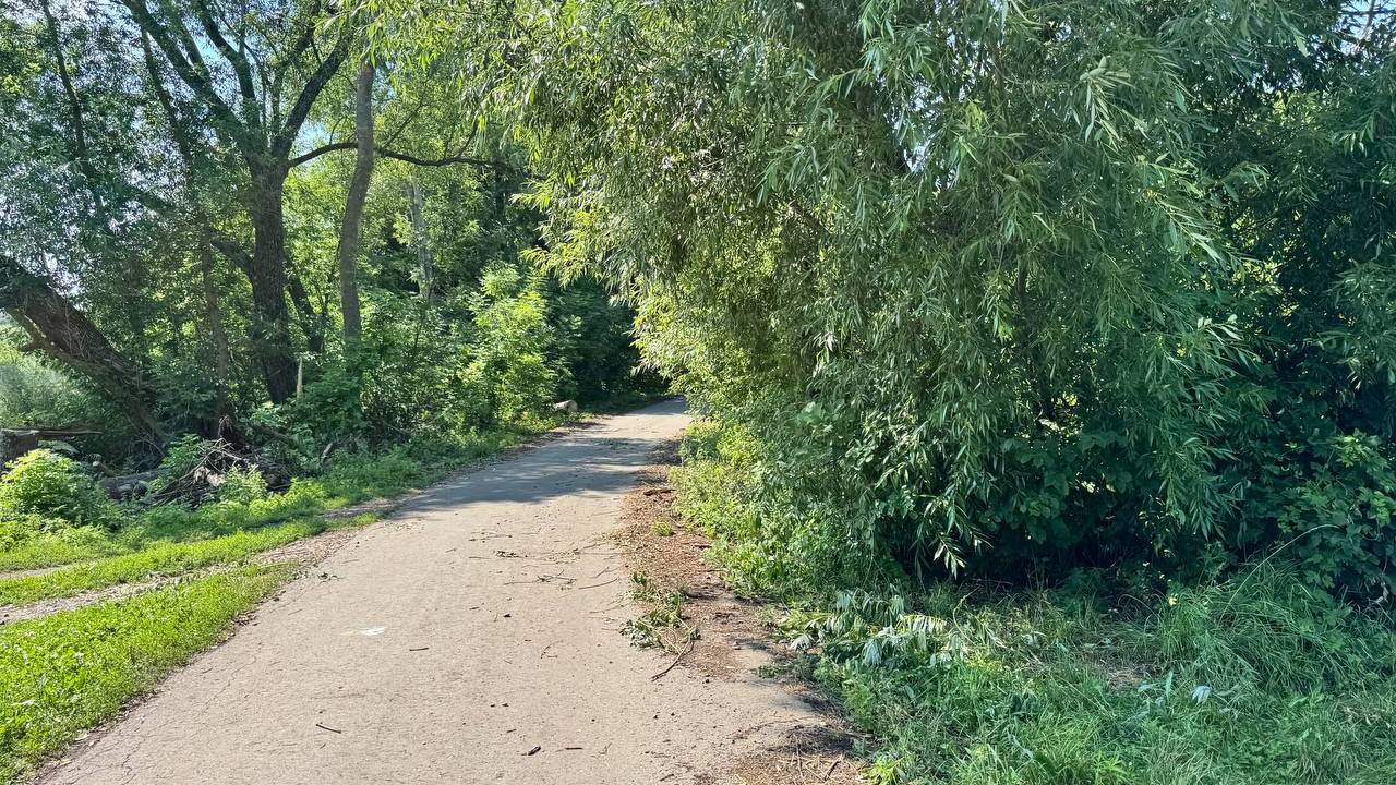 IMG_3611 смотреть онлайн