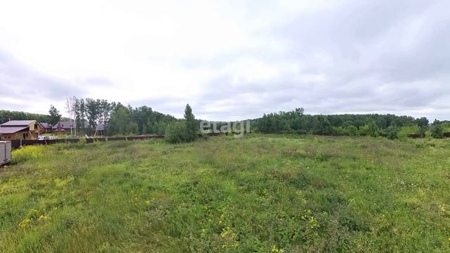 9068010 смотреть онлайн