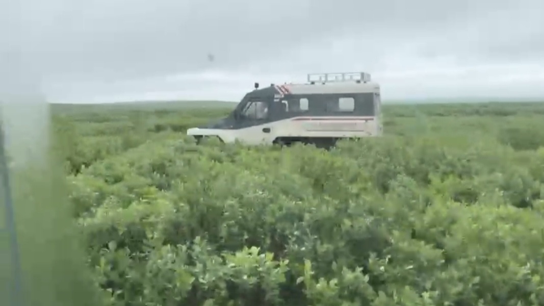 Я влюбилась в эту машинку. Моя поездка в тундру. ТРЭКОЛ. смотреть онлайн