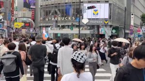 #17 Ужас на выходе с лайнера в Йокогаме, толпа бунтует. Токио, Сибуйя! От нас отказалась экскурсовод