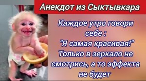 Анекдот из Сыктывкара 😜